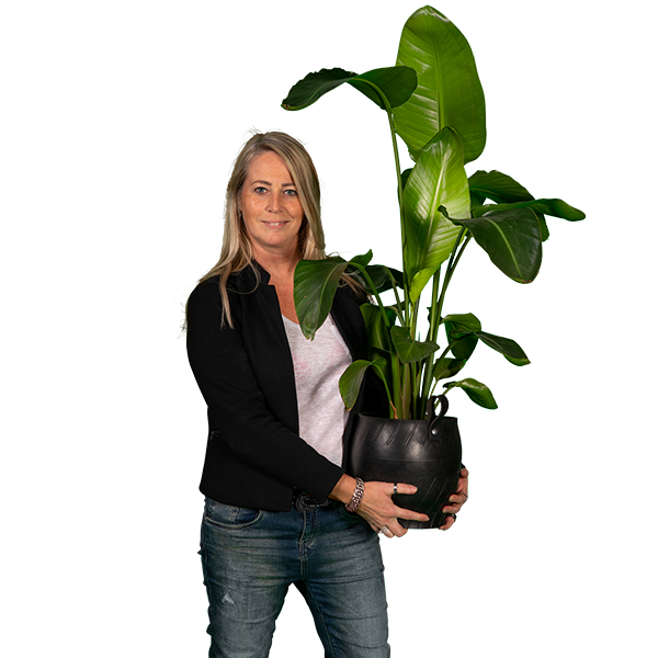 Sandra Scheepbouwer - Stieber